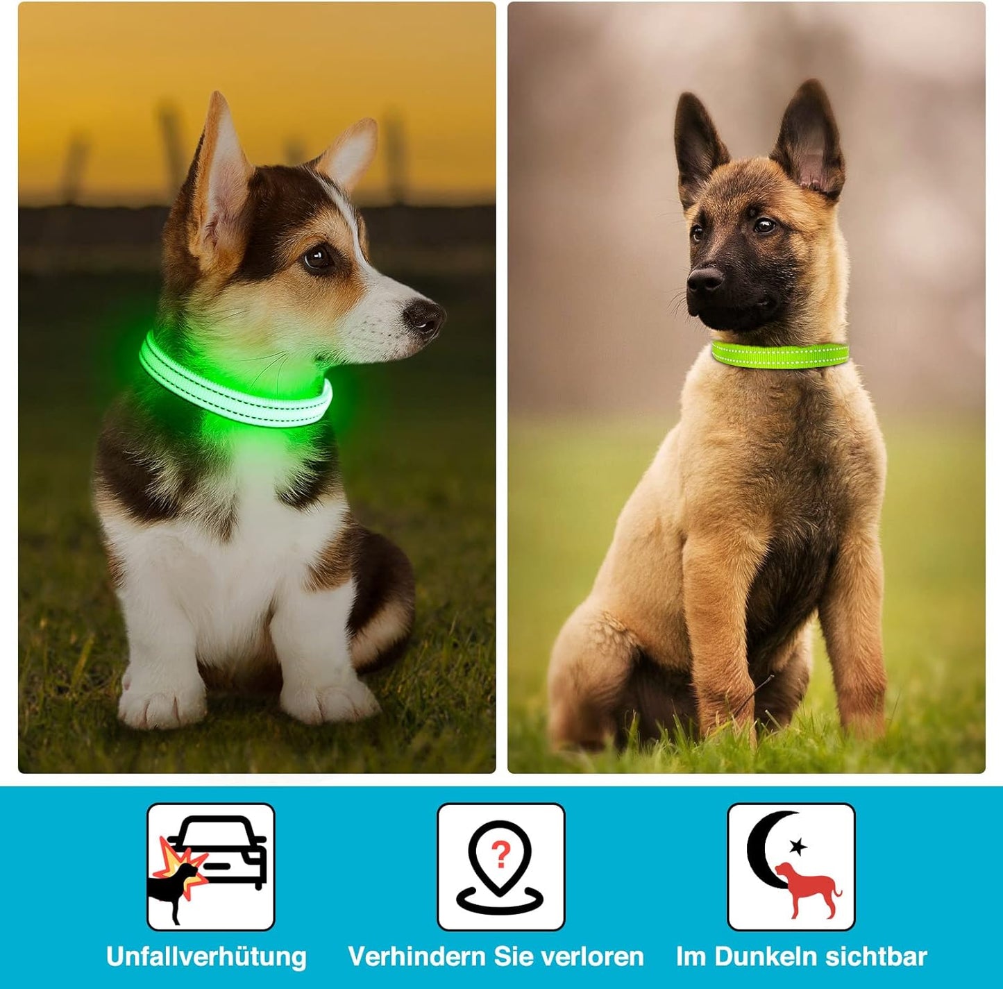 Seurico™ USB verstellbar wasserdichtes leuchtendes Hundehalsband