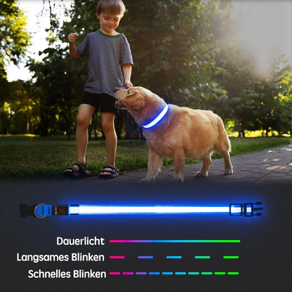 Seurico™ USB verstellbar wasserdichtes leuchtendes Hundehalsband