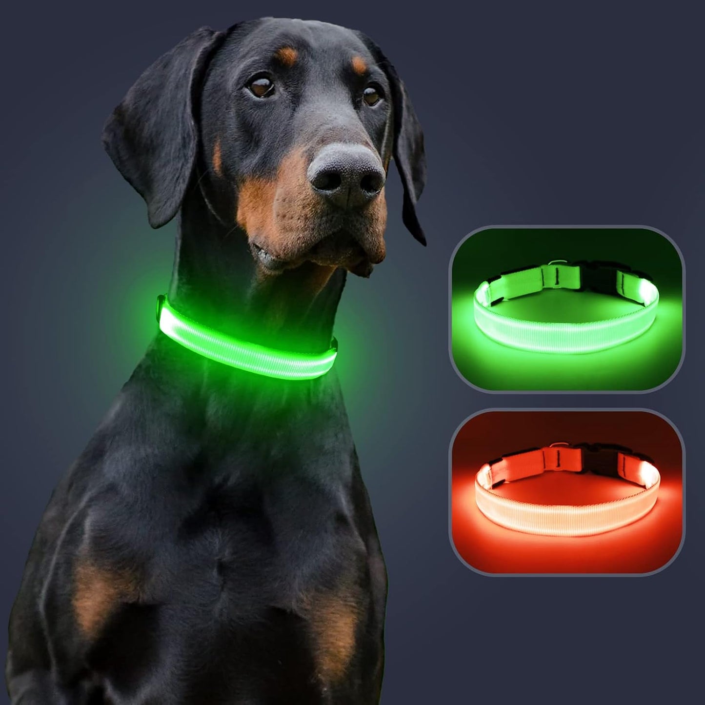 Seurico™ USB verstellbar wasserdichtes leuchtendes Hundehalsband