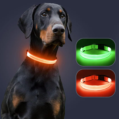 Seurico™ USB verstellbar wasserdichtes leuchtendes Hundehalsband
