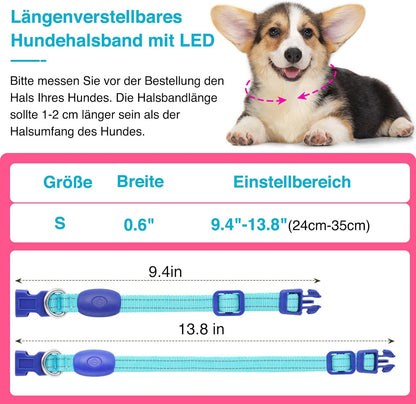 Seurico™ USB verstellbar wasserdichtes leuchtendes Hundehalsband