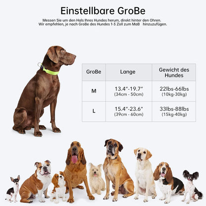 Seurico™ USB verstellbar wasserdichtes leuchtendes Hundehalsband