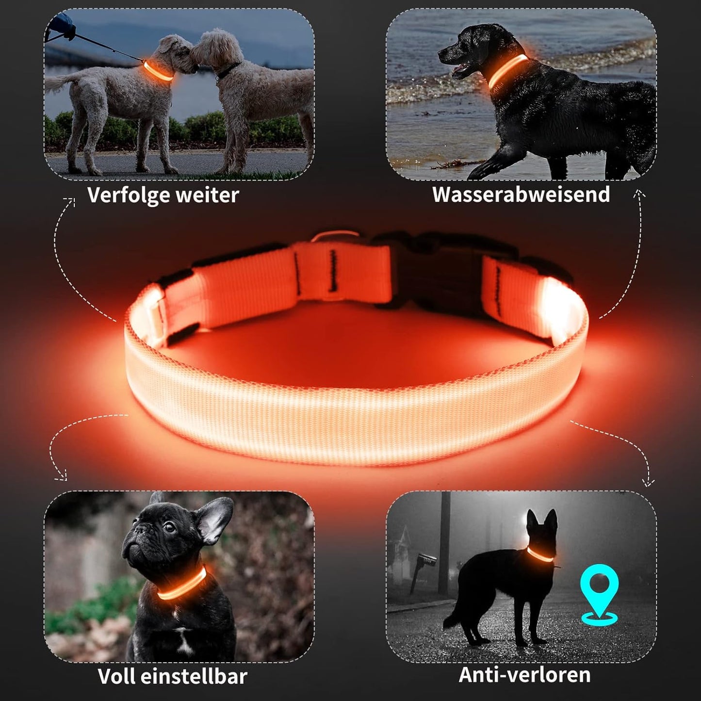 Seurico™ USB verstellbar wasserdichtes leuchtendes Hundehalsband