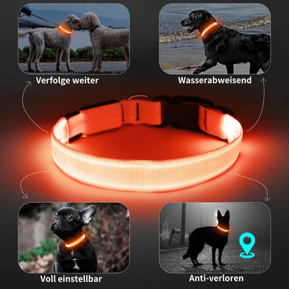 Seurico™ USB verstellbar wasserdichtes leuchtendes Hundehalsband