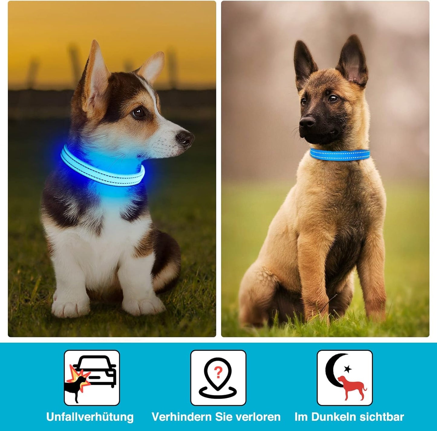 Seurico™ USB verstellbar wasserdichtes leuchtendes Hundehalsband