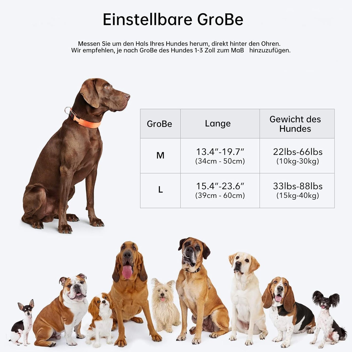 Seurico™ USB verstellbar wasserdichtes leuchtendes Hundehalsband