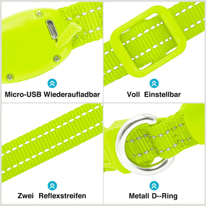 Seurico™ USB verstellbar wasserdichtes leuchtendes Hundehalsband
