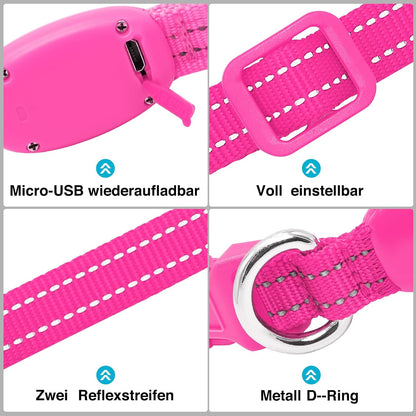 Seurico™ USB verstellbar wasserdichtes leuchtendes Hundehalsband