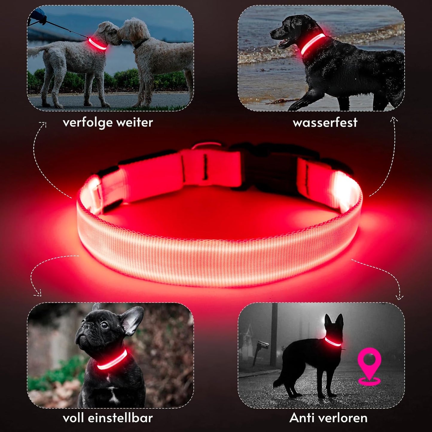 Seurico™ USB verstellbar wasserdichtes leuchtendes Hundehalsband