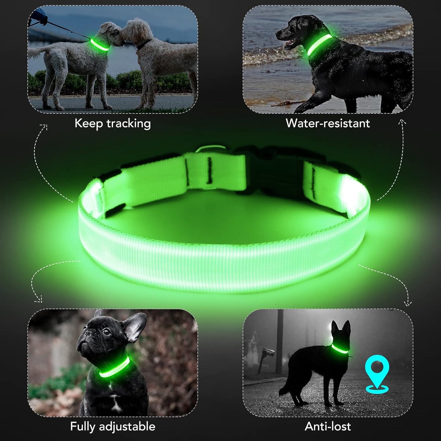 Seurico™ USB verstellbar wasserdichtes leuchtendes Hundehalsband