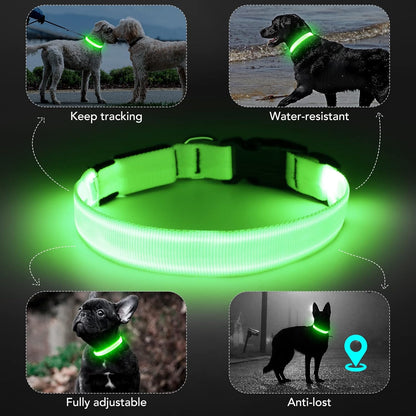 Seurico™ USB verstellbar wasserdichtes leuchtendes Hundehalsband