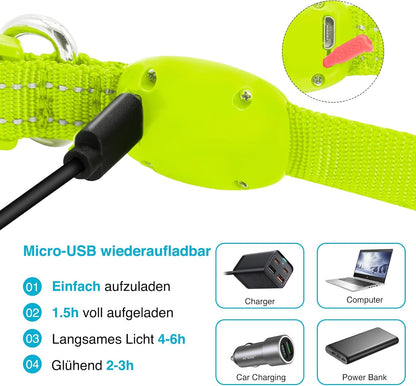 Seurico™ USB verstellbar wasserdichtes leuchtendes Hundehalsband