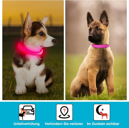 Seurico™ USB verstellbar wasserdichtes leuchtendes Hundehalsband