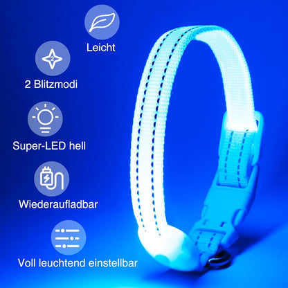 Seurico™ USB verstellbar wasserdichtes leuchtendes Hundehalsband
