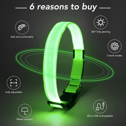 Seurico™ USB verstellbar wasserdichtes leuchtendes Hundehalsband