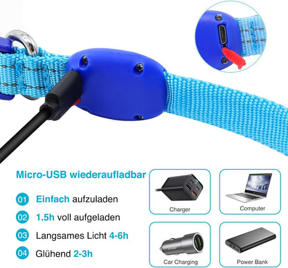 Seurico™ USB verstellbar wasserdichtes leuchtendes Hundehalsband