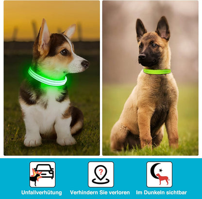 Seurico™ USB verstellbar wasserdichtes leuchtendes Hundehalsband