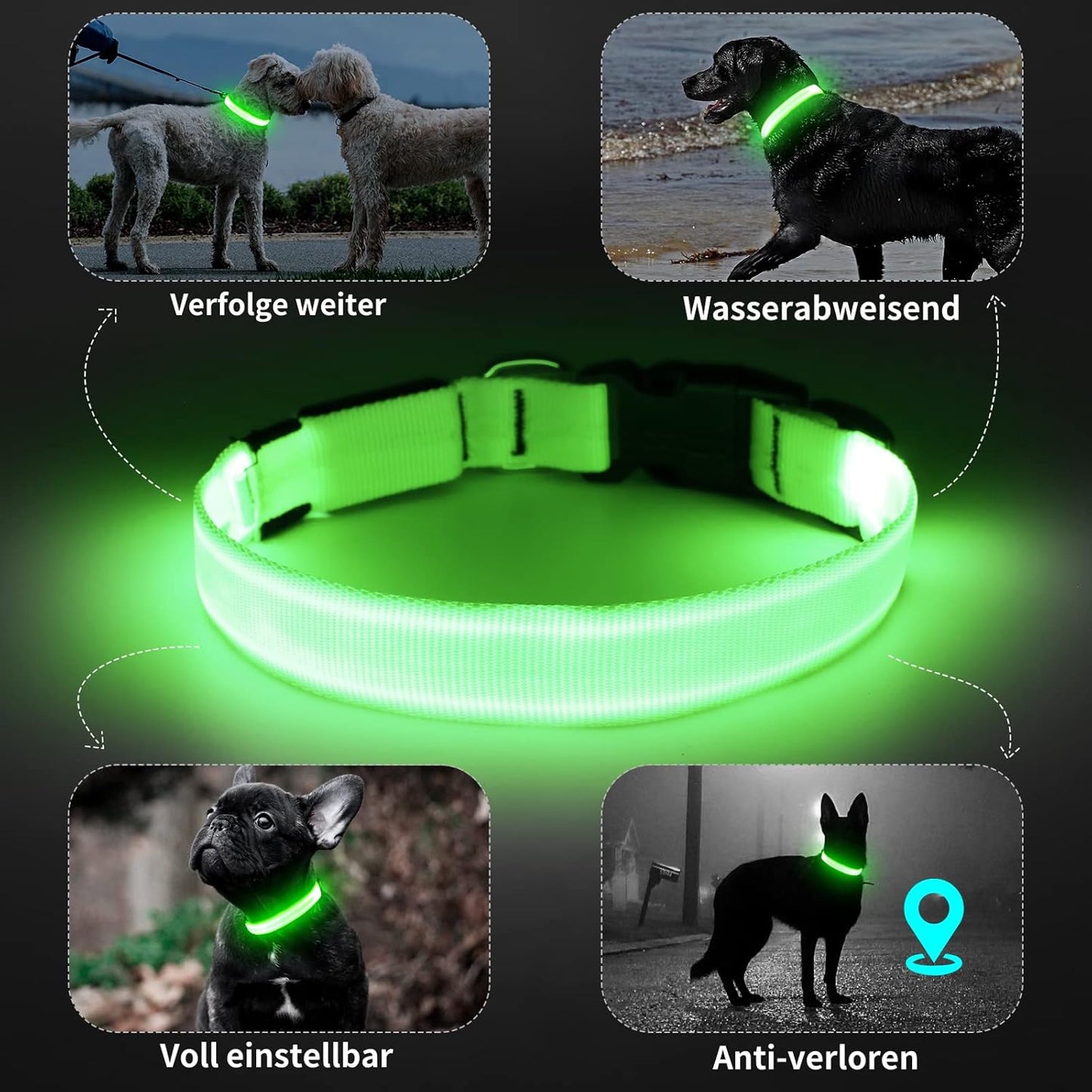 Seurico™ USB verstellbar wasserdichtes leuchtendes Hundehalsband