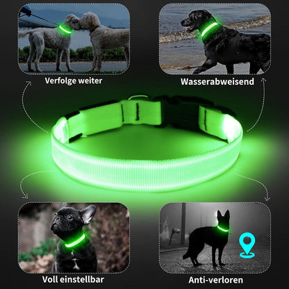 Seurico™ USB verstellbar wasserdichtes leuchtendes Hundehalsband