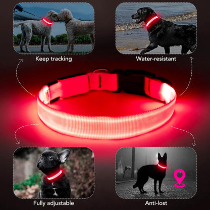 Seurico™ USB verstellbar wasserdichtes leuchtendes Hundehalsband