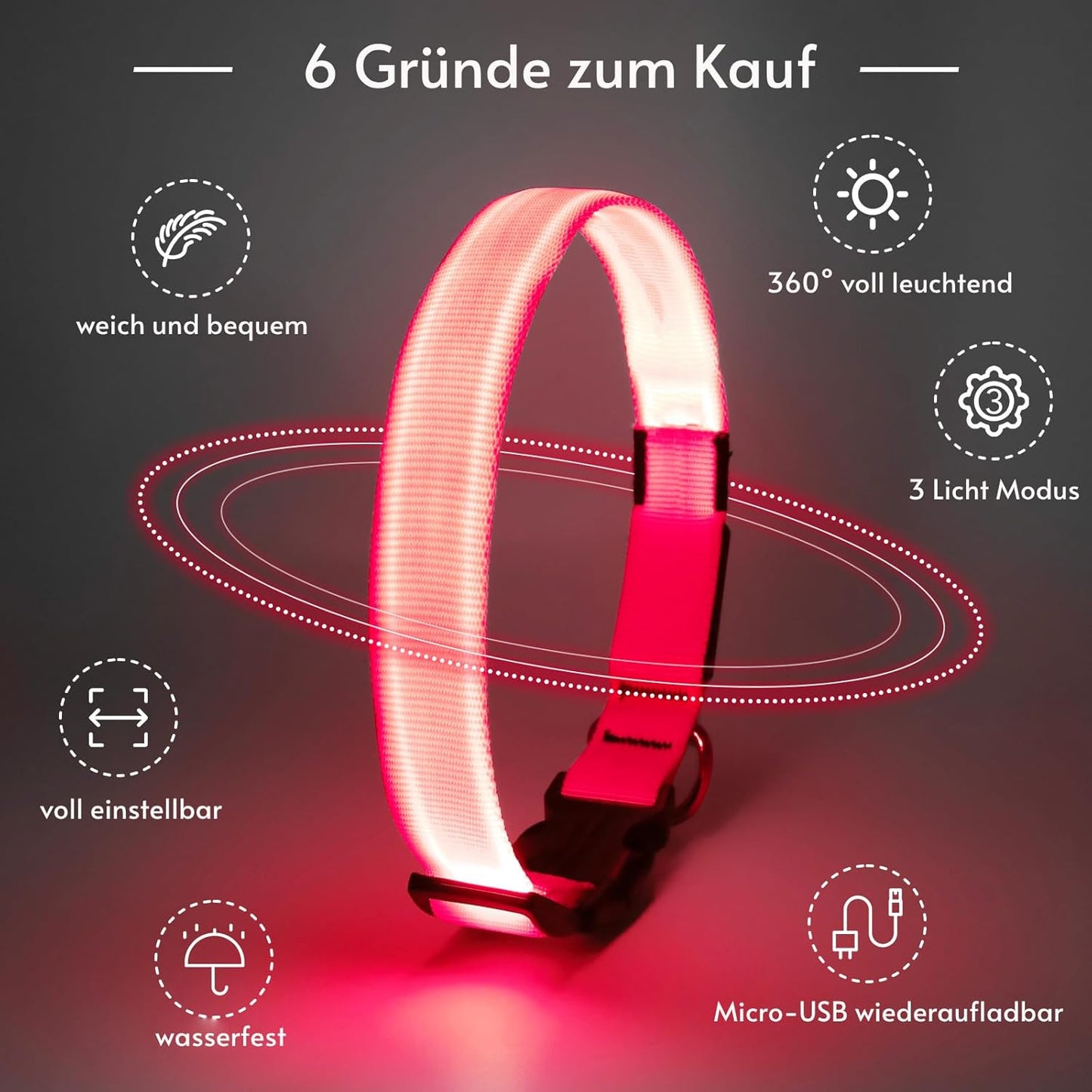 Seurico™ USB verstellbar wasserdichtes leuchtendes Hundehalsband