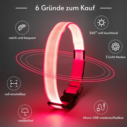 Seurico™ USB verstellbar wasserdichtes leuchtendes Hundehalsband