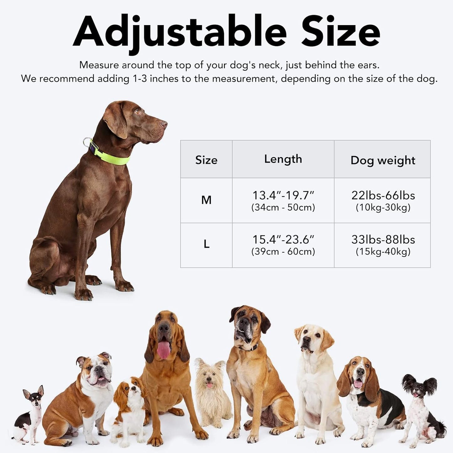 Seurico™ USB verstellbar wasserdichtes leuchtendes Hundehalsband