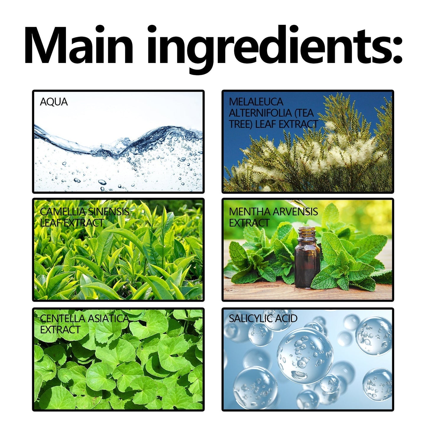 🎄Seurico™ Green Tea Anti-Acne Essence For Anti-aging, anti-wrinkle and Brighten skin colour✨